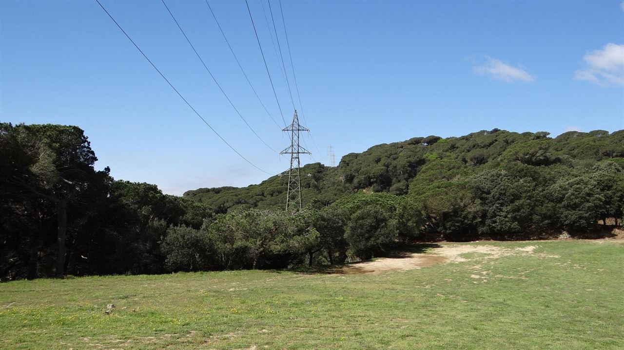 Renovada la línea que cruza el Parque de la Sierra Litoral de Barcelona