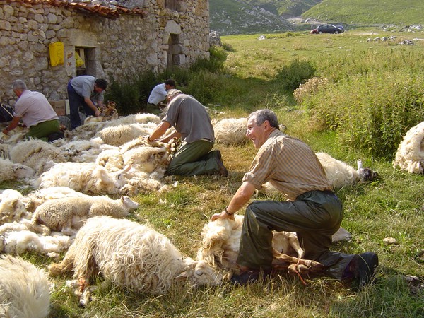 Con la lana que uses