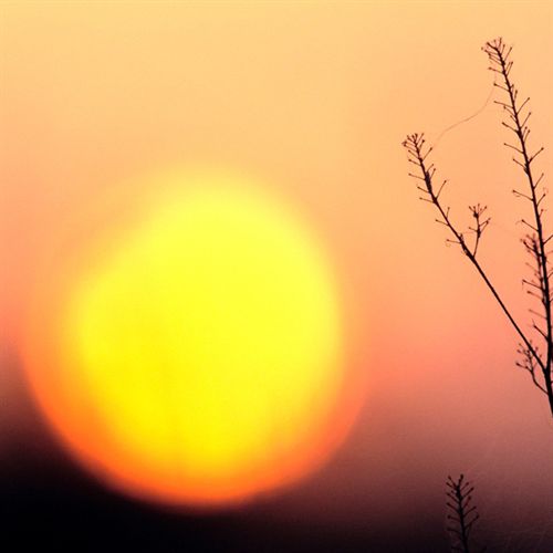 España participa en la reunión del grupo de expertos en cambio climático