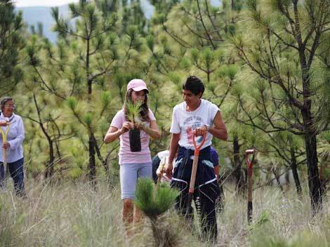Activan plan para que la gente se responsabilice del bosque