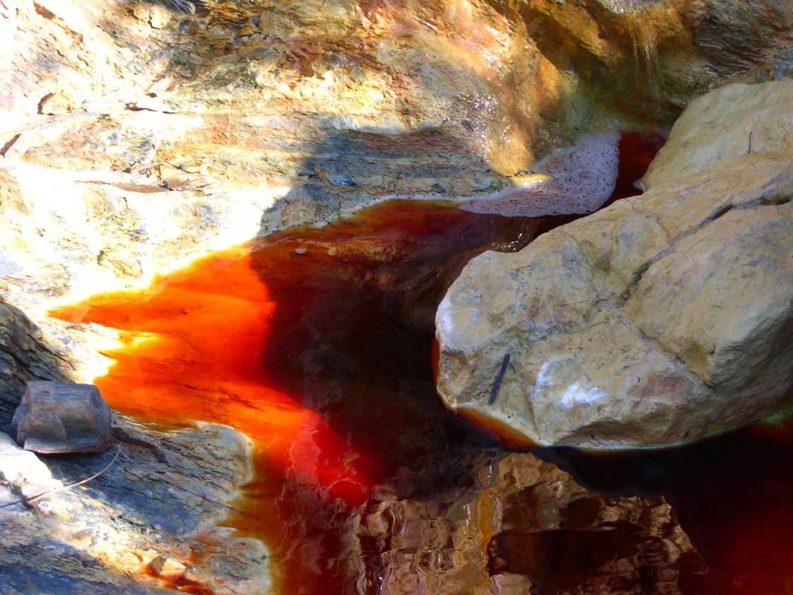 Investigadores del centro de Astrobiología (CSIC - INTA) descubren 30 nuevos genes que se utilizarán en procesos descontaminantes