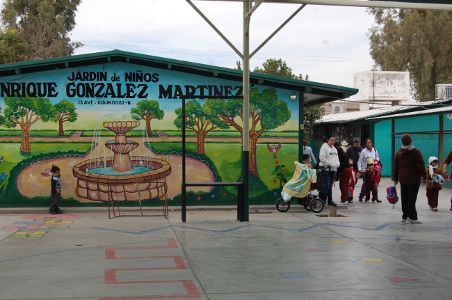 Prevén plantar 50 mil árboles