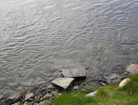 Ecologistas en Acción advierten de la "irresponsabilidad" del Ayuntamiento de Navia ante la contaminación de la ría