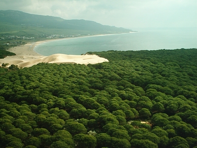 Preparando el Plan de Desarrollo Sostenible del Parque Natural del Estrecho