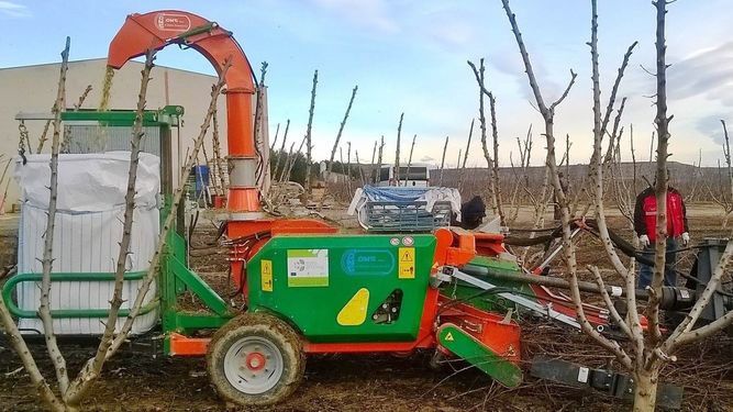 Un proyecto valida el aprovechamiento energético de los residuos de poda