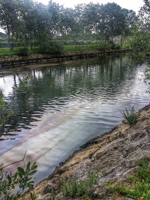 Asturias. Otro vertido más a la ría de Avilés