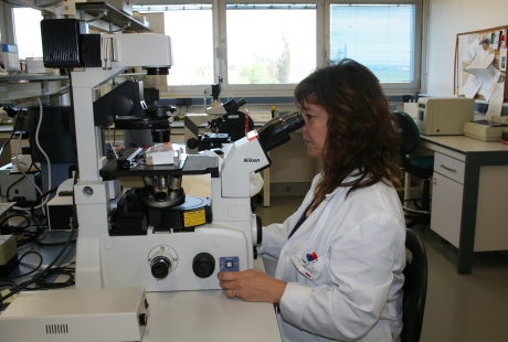 El CITA lidera una investigación para estudiar los efectos del cambio climático en las enfermedades parasitarias