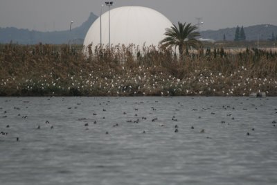 Las lagunas de Campotejar y Las Moreras
