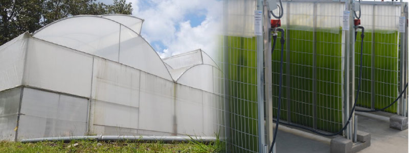 Instalan biorrefinería que genera biocombustibles a partir de microalgas y aguas residuales