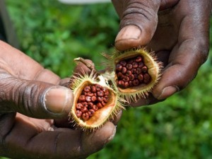 Los 10 destinos turísticos más éticos y sostenibles para visitar en 2014