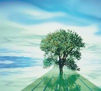 Master (formación a distancia) en Medio Ambiente y Diagnosis Ambiental con la garantia de IUSC