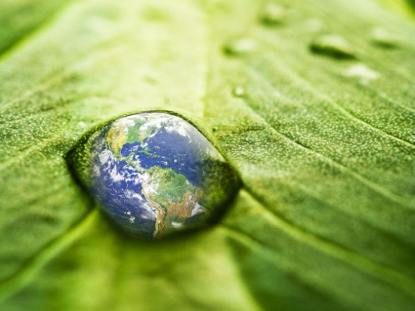 Máster en Gestión Ambiental en la Empresa