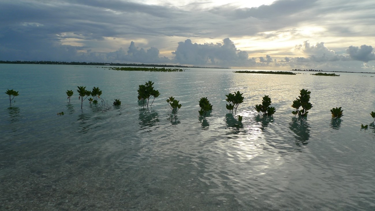 Kiribati: una nación que sucumbe al cambio climático