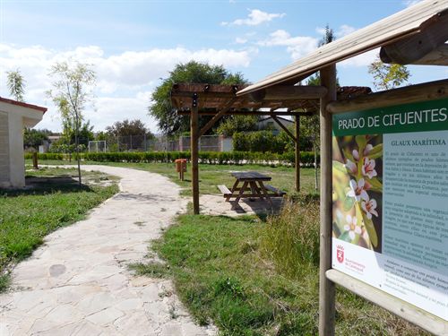 El Ayuntamiento de Calatayud presenta la recuperación del Prado de Cifuentes a los premios CONAMA