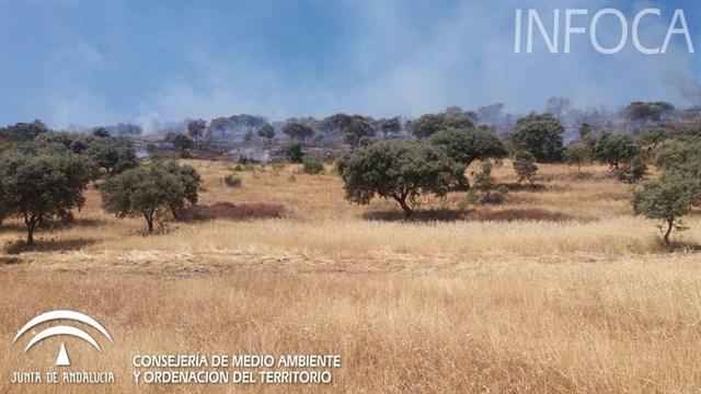 Estabilizado el incendio forestal de Villaviciosa de Córdoba