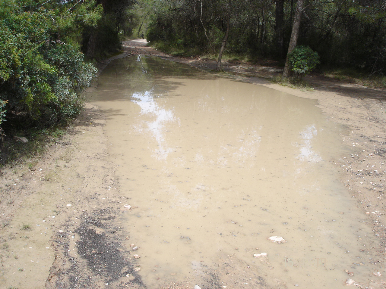 Cotino permite que miles de vecinos y la biodiversidad del Parc Natural del Túria sufran peligro de incendio