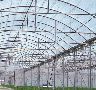 La Xunta licita por 900.000 euros un contrato para la gestión del plástico generado en actividades agroganaderas