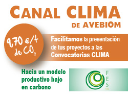 Canal Clima de AVEBIOM facilita la presentación de proyectos y maximiza las opciones de selección
