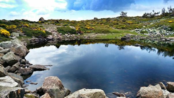 La ‘curiosa contradicción’ de las Zonas de Reserva del Parque Nacional de Guadarrama