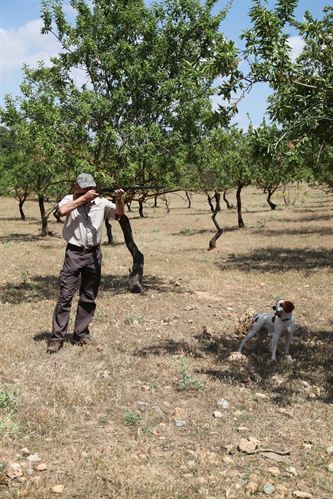 La Rioja publica en internet el calendario de batidas de caza mayor de la temporada 2012-13