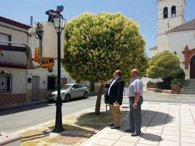 Diputación de Granada renueva el alumbrado público de Morelábor