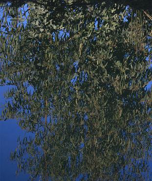 Fundación Félix Rodríguez de la Fuente presenta un plan de actuación para fomentar el empleo rural y evitar la despoblación del campo