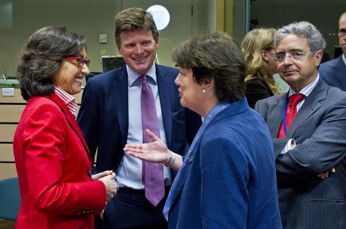 España consigue incrementar la cuota de anchoa en el Golfo de Vizcaya