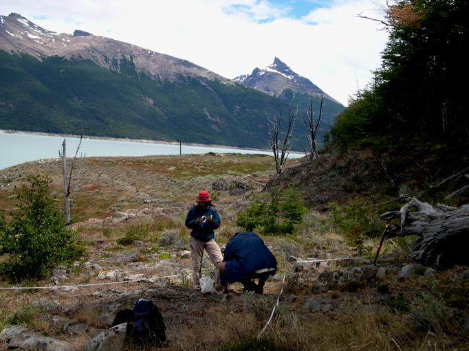 Investigan los efectos de las inundaciones provocadas por el glaciar Perito Moreno