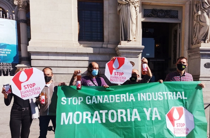 Plataformas vecinales piden moratorias para la ganadería industrial