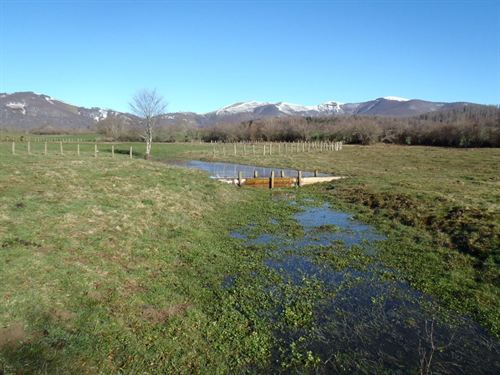 Navarra se suma al Día Mundial de los Humedales con una visita a Jauregiaroztegi el 2 de febrero
