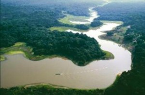 Gobierno impulsará estrategia sostenible de bosques y cambio climático en la Amazonía