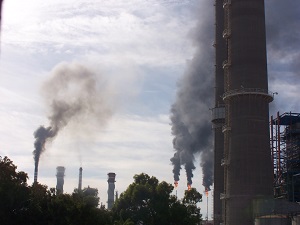 Cádiz se moviliza contra el cambio climático