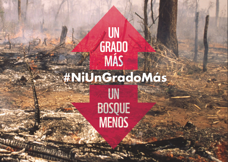 Campaña #Ni un grado más