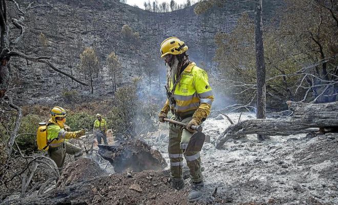 Un detenido y diez personas investigadas por incendios forestales en Jaén en 2016