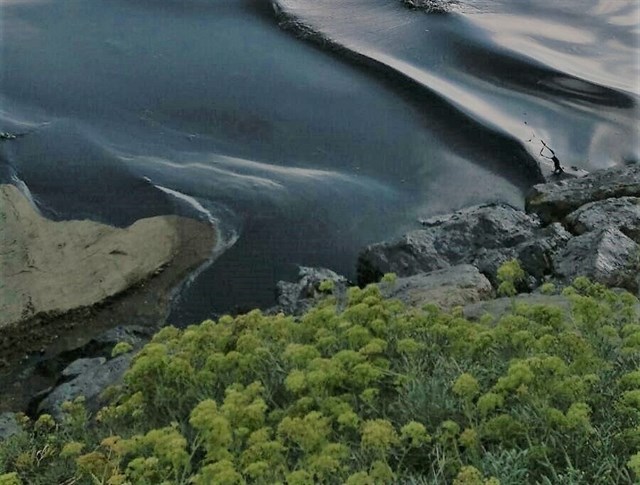 Ecologistas piden que se denuncie el vertido en Algeciras