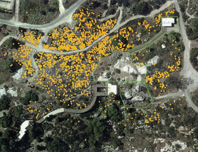 Elaboración de inventarios de flora y fauna
