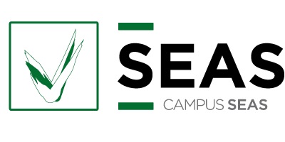 El centro de formación online seas