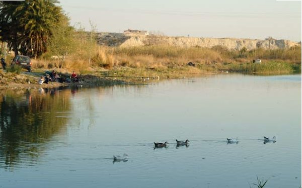 Vertido químico al Segura en Archena (Murcia)