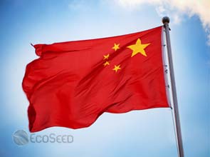 Dissecting China’s renewable energy sector