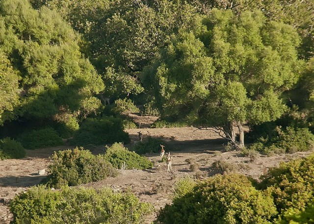 Proponen un complejo medioambiental en La Almoraima
