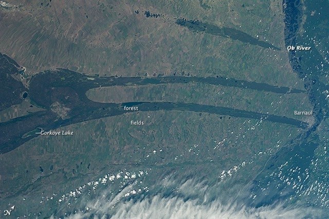 Organismos extremos desconocidos aparecen en un lago de Siberia