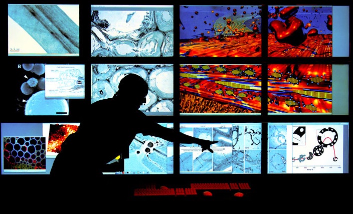 Trabaja en el sector de la Biomasa!