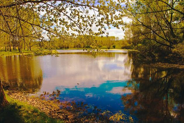 Los 50 lugares que necesitan una inmediata restauración ambiental