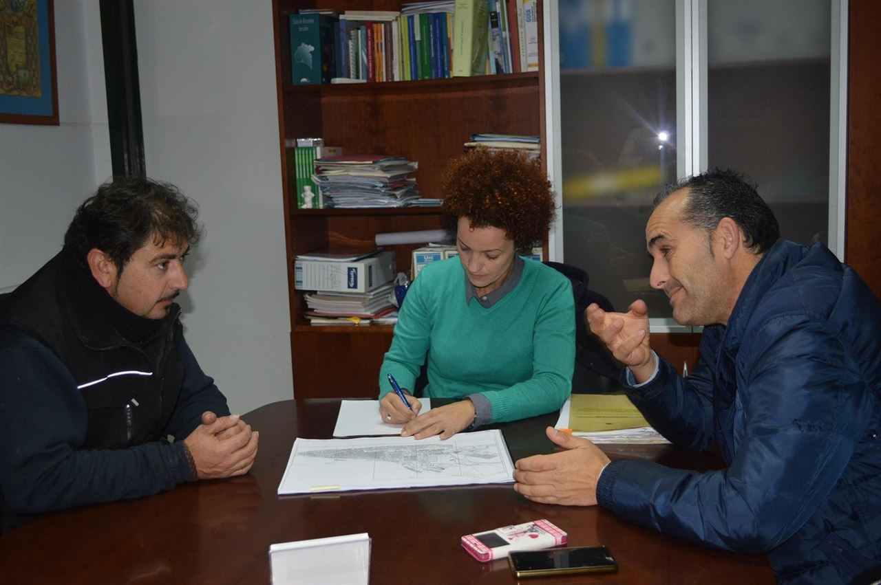 Urge un protocolo contra la procesionaria