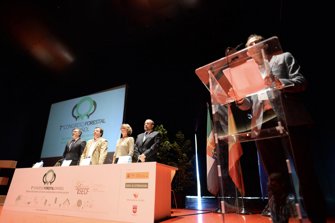 El valor del sector forestal como motor del desarrollo del medio rural