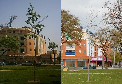 La concejala de Medio Ambiente de Puerto de Santa María es una ignorante