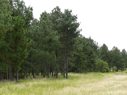 Amurrio celebra unas Jornadas sobre biodioversidad