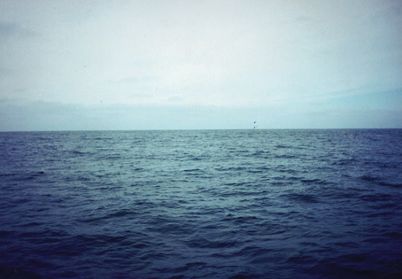 El mar: contenidos y continentes