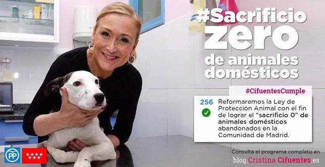 La Asamblea de Madrid da luz verde a la ley de ‘sacrificio cero’ de animales de compañía