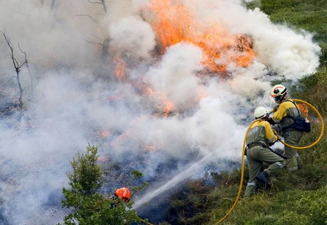 El ‘desastre’ de Valencia son fruto de décadas de abandono rural y falta de gestión forestal